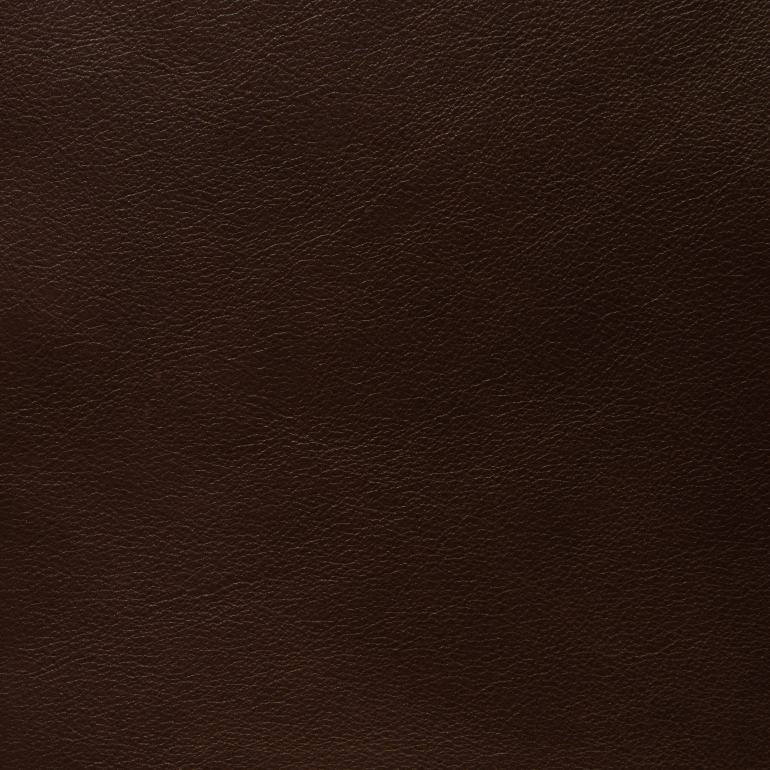 Del Mar Nutmeg